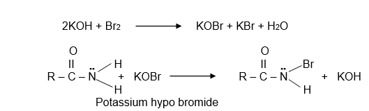Formation of N- bromamide in Hofmann Rearrangement Reaction